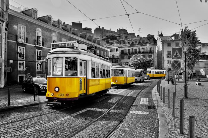 Historical Lisbon Downtown Private Walking Tour (3h)