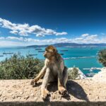 A Curated 7-Day Luxury Journey Through Southern Spain: Seville, Granada, Córdoba, Gibraltar & Beyond