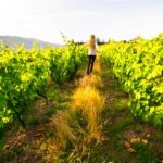 The 3 Best Wine Regions of Portugal
