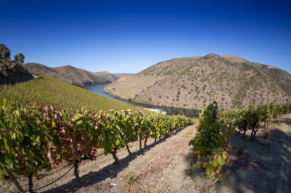 Travel in Style – Private Mercedes-Benz Transfer to Douro Valley