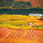 5 Boutique Wine Hotels to Stay in Douro Valley