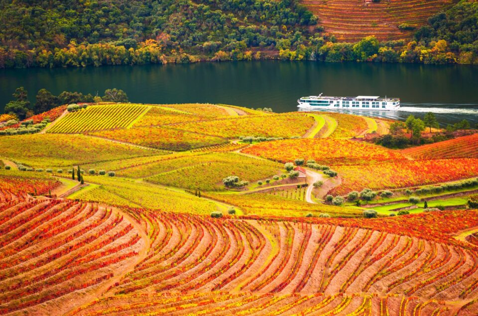 5 Boutique Wine Hotels to Stay in Douro Valley