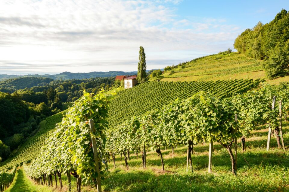 10 Best Wineries to Visit in Douro Valley