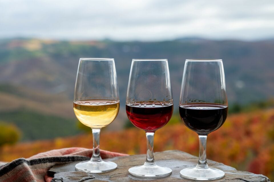 A Perfect Weekend in the Douro Valley: Wine, Wellness, and River Views