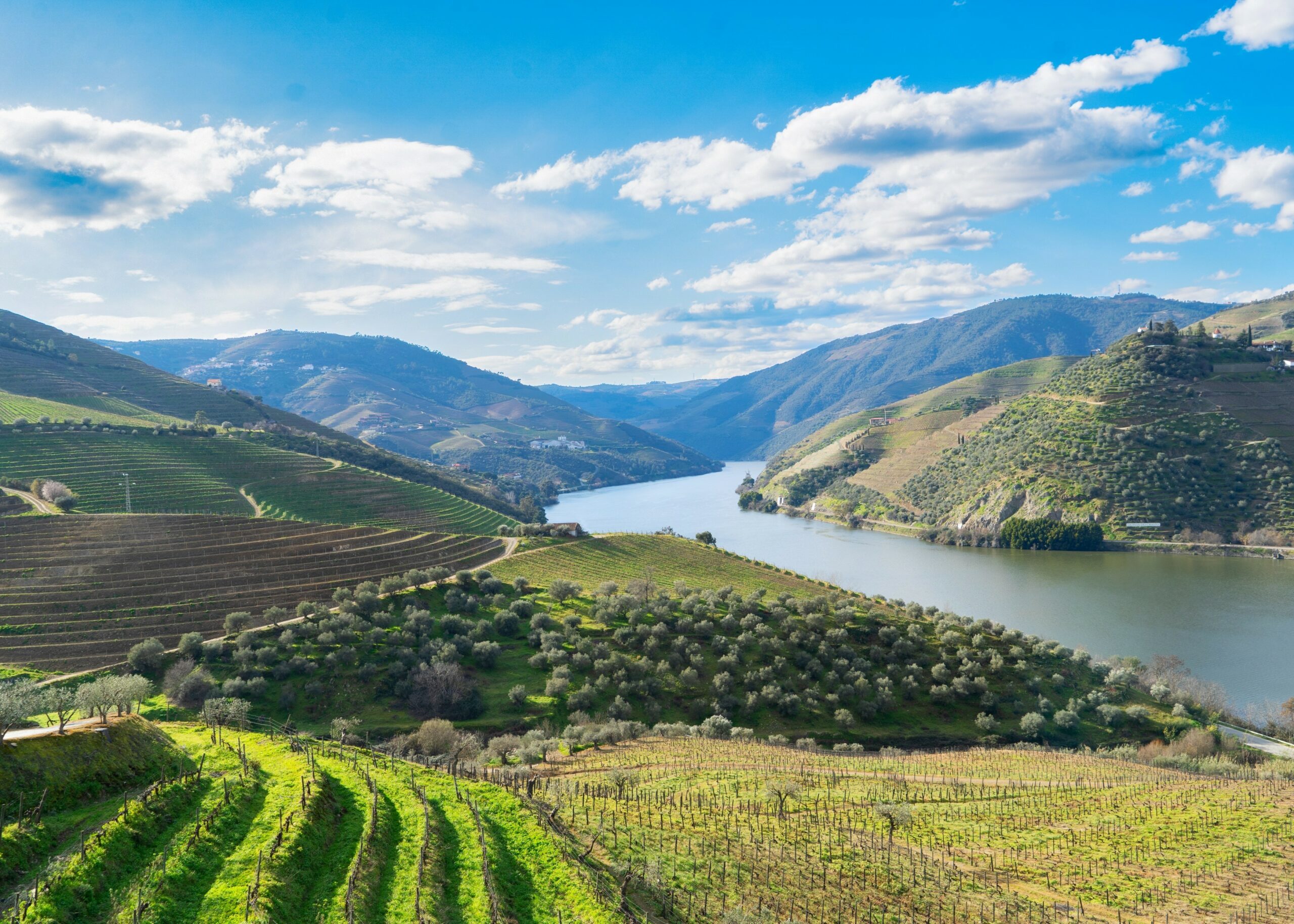 Why the Douro Valley Deserves Your Attention, Year-Round