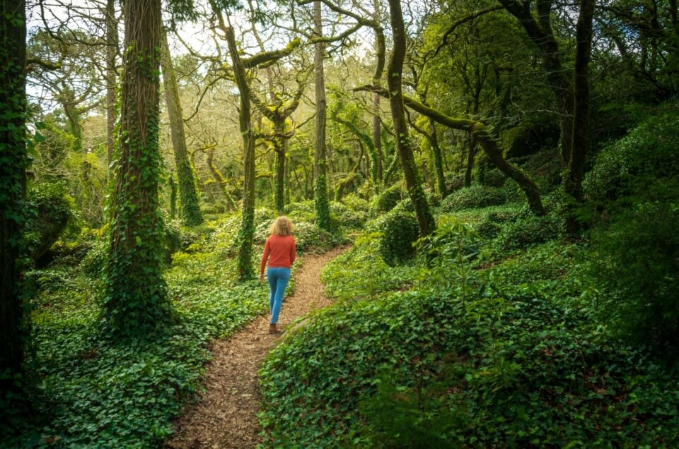 Hiking in Sintra: 3 Scenic Trails to Discover on Foot