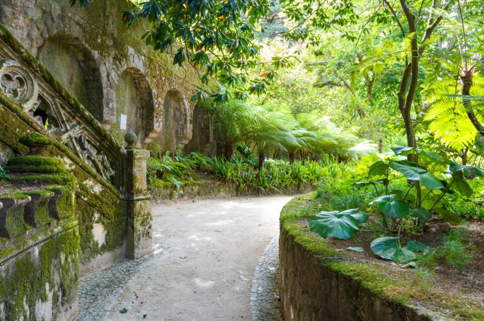 The Magic of Sintra: 7 Experiences That Capture Portugal’s Fairytale Soul