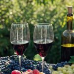 8 Best Top-Class Wineries to Visit Around Lisbon