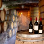 5 Best Wine Cellars to Visit in Porto and Gaia
