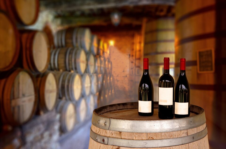 5 Best Wine Cellars to Visit in Porto and Gaia