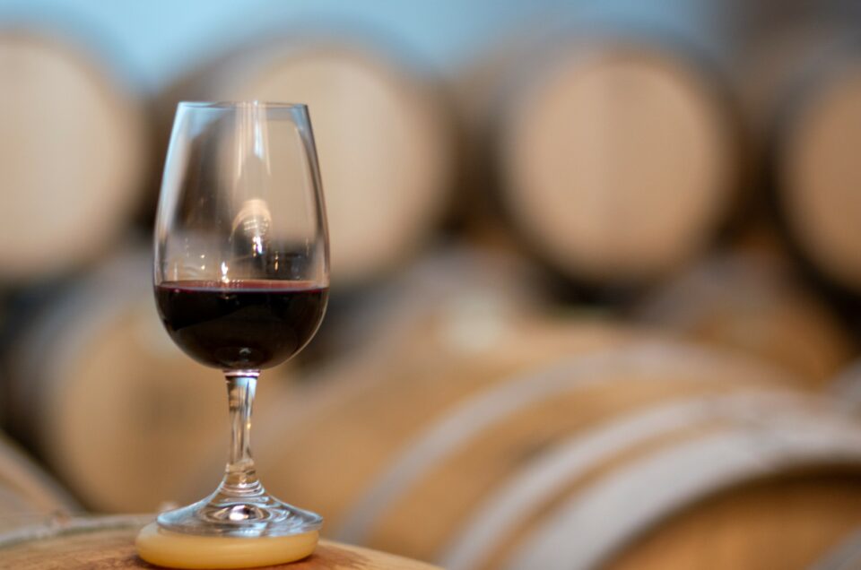 5 Wineries to Visit Near Evora (Alentejo) + Premium Wine Tastings