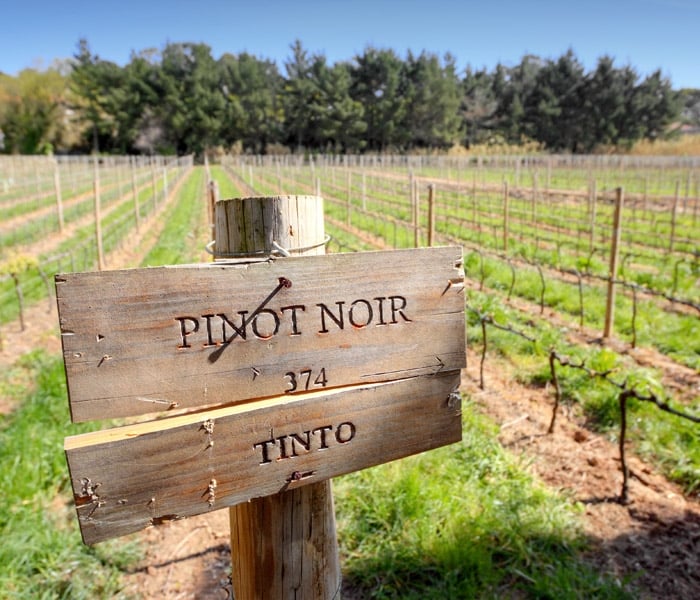 7-Day Curated Wine Lover’s Journey Across Portugal