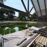 Comporta: The Hamptons of Portugal