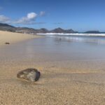 The Best Hidden Beaches in Portugal for Private Escapes