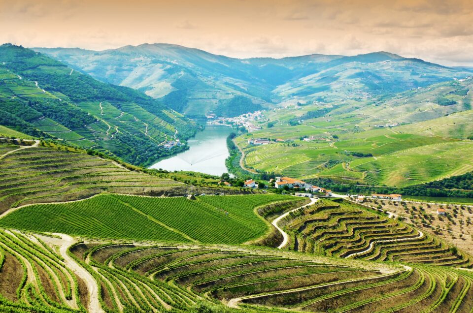 Six Senses Douro Valley – Wellness and Wine in Portugal