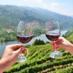 Lisbon to Douro Valley – Best Way to Travel with Portugal Magik