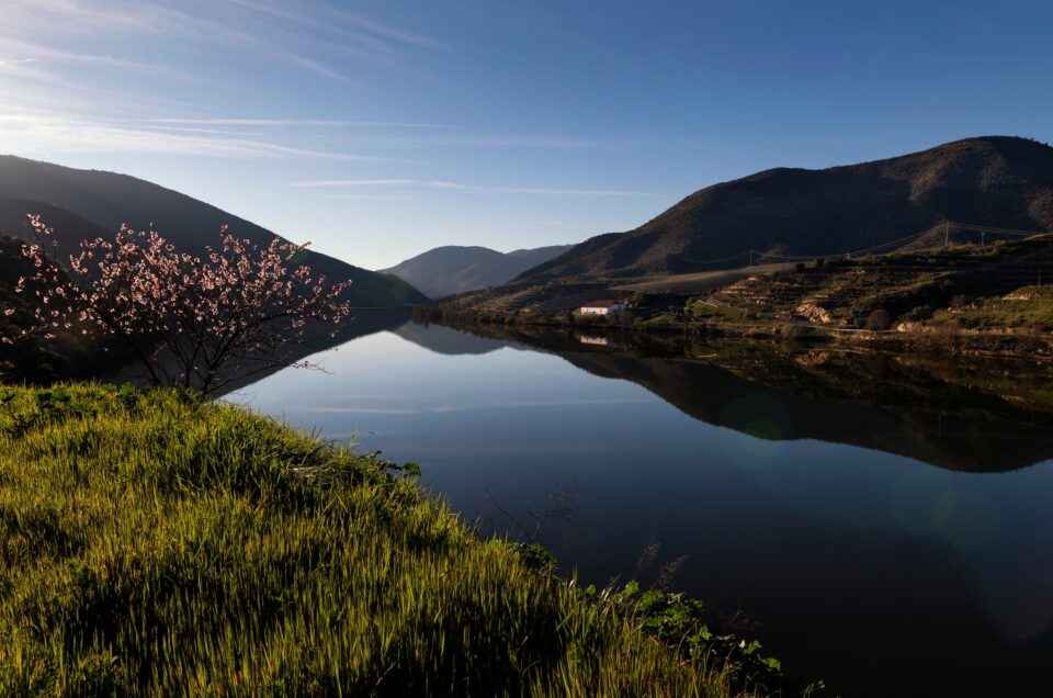 Quinta Nova Douro Valley – Relais & Chateaux: A Hidden Jewel in Portugal's Wine Country