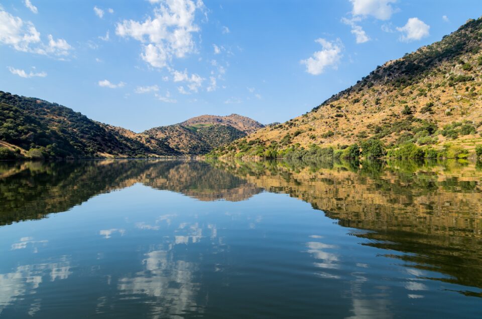 Best Winery Lunch Douro Valley – A Culinary Journey Amid the Vines