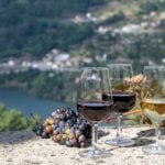 Wine Harvesting in Portugal: A Timeless Tradition