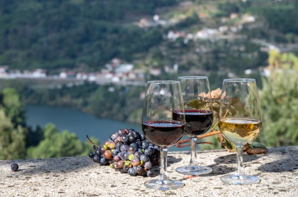 Wine Harvesting in Portugal: A Timeless Tradition