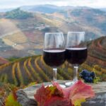 Wine Regions of Portugal – A Journey Through Flavor and Landscape