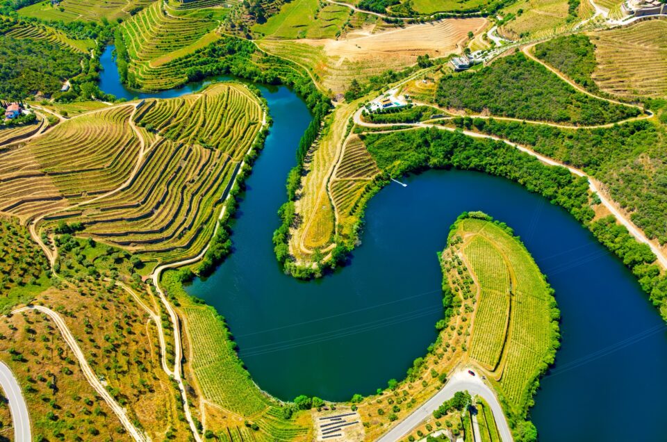 1-Day Itinerary in the Douro Valley: Portugal’s Wine Paradise
