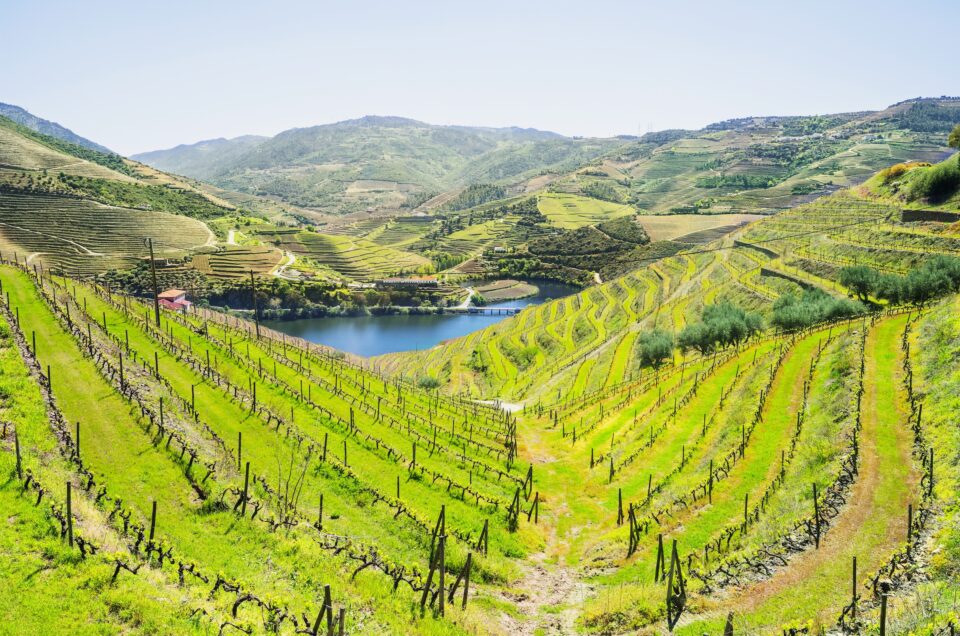 Best Restaurants in the Douro Valley (MUST VISIT)