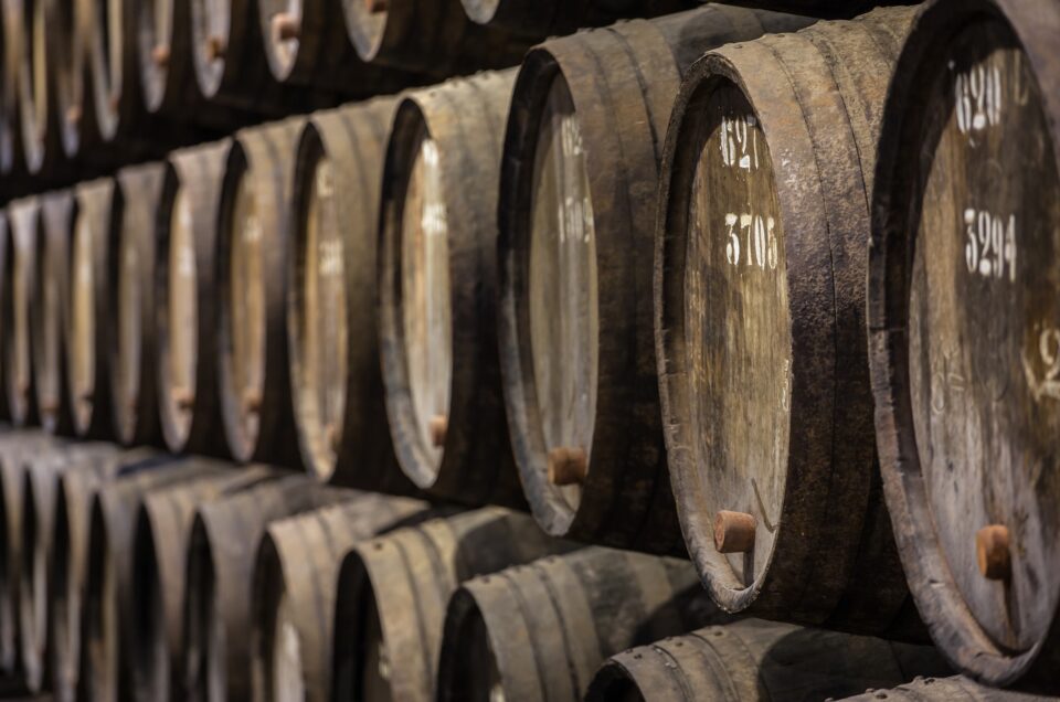 The Oldest Wineries in Portugal (MUST VISIT)