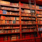 Livraria Lello, Porto – History, Architecture & Best Time to Visit