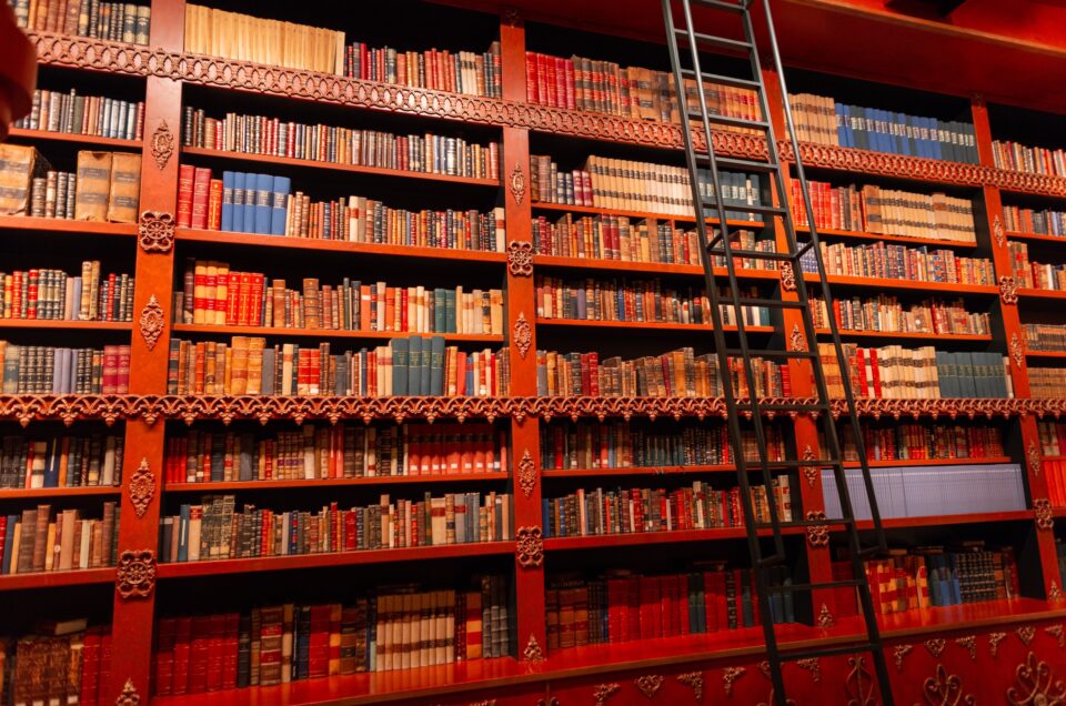 Livraria Lello, Porto – History, Architecture & Best Time to Visit
