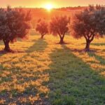 Portugal in Bloom: Chasing Wildflowers and Gardens Across the Country