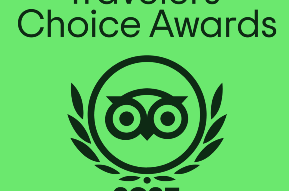 Portugal Magik Private Tours Recognized Among Top 10% of Attractions Worldwide by Tripadvisor — Once Again