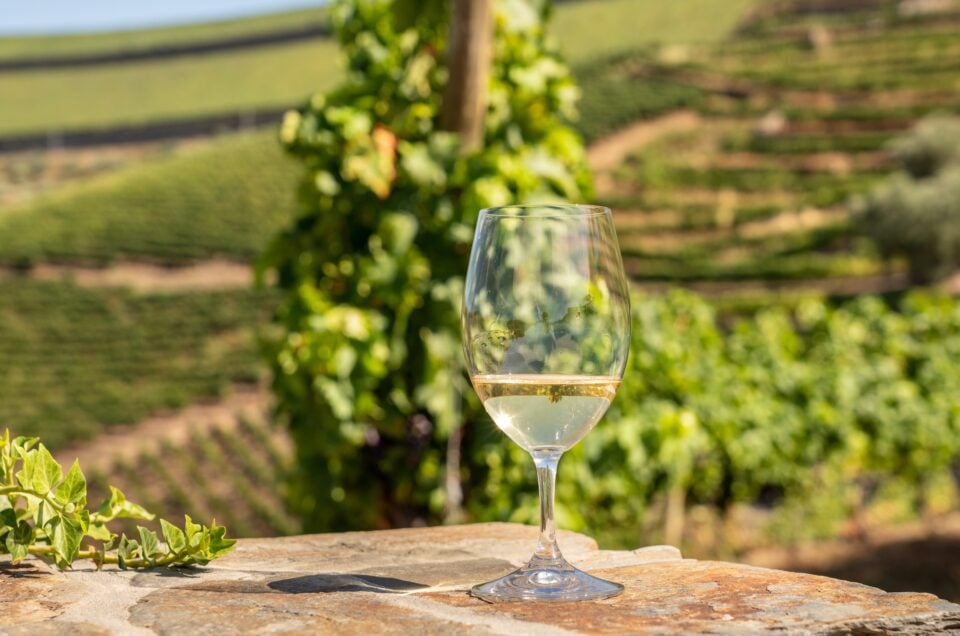 Douro Valley Wine Tour – Discover Portugal’s Enchanting Wine Region