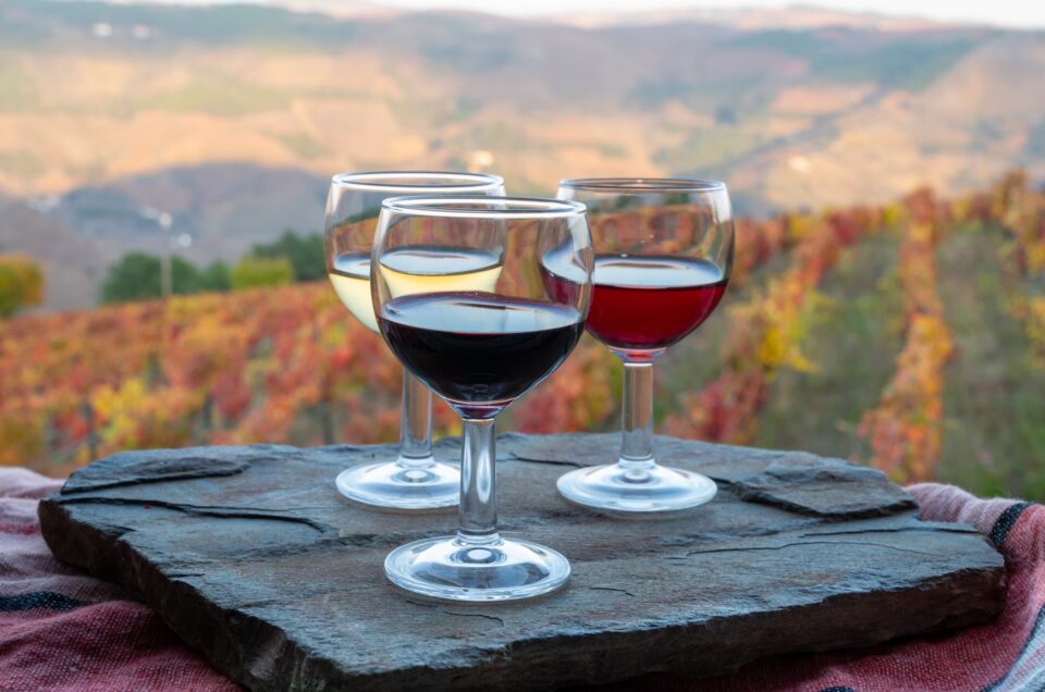 Best Douro Valley Wine Tours – A Luxurious Journey Through Portugal’s Wine Wonderland