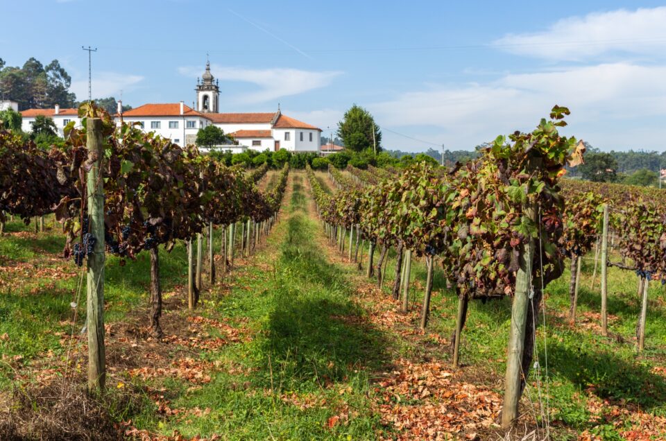 Eco-Luxury in Portugal – Off-the-Grid, High-End Travel