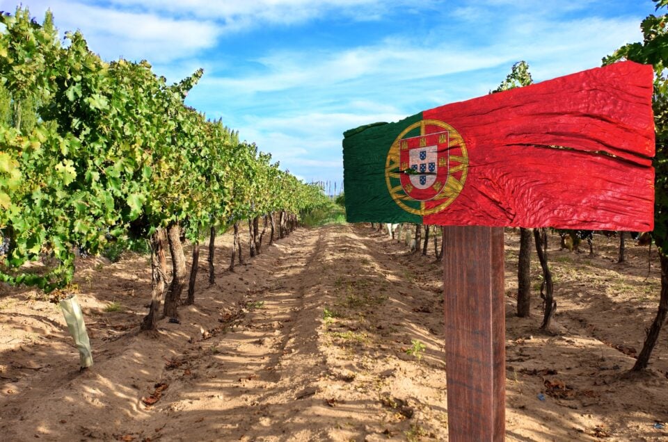 Luxury Wine Tours in Portugal – A Dream Escape for Wine Lovers
