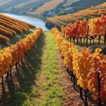 Is It Worth Spending 3 Days in the Douro Valley? (MUST READ Before You Go)