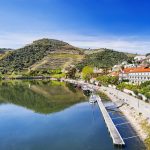 12 Days Across Portugal: A Private Itinerary from Algarve Shores to Douro Vineyards