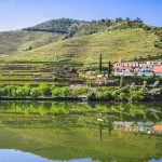 Schist, River and a Glass of Port: Reading the Douro in a Day Schist, River and a Glass of Port: Reading the Douro in a Day