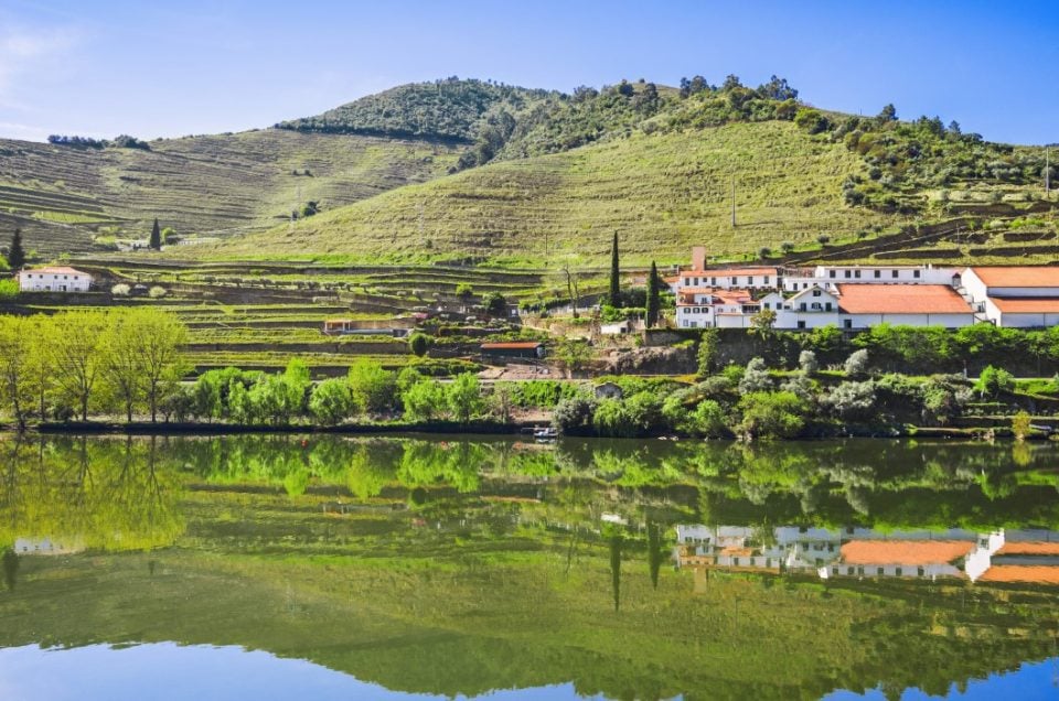 Schist, River and a Glass of Port: Reading the Douro in a Day