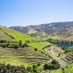 Six Senses Douro Valley: A Restful Wine Country Stay After a US Private Jet Arrival Portugal in 10 Days: An Iconic Journey from Lisbon's Hills to Douro Vineyards