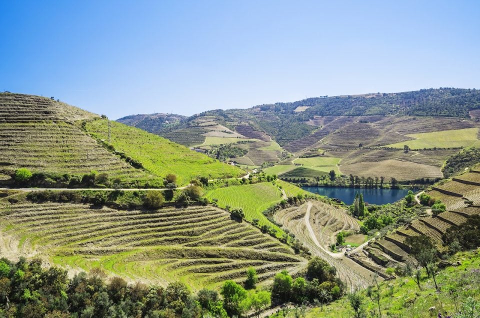 Six Senses Douro Valley: A Restful Wine Country Stay After a US Private Jet Arrival