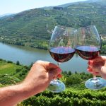 Wine Country by Private Jet: The Douro and Alentejo with a Private Driver Wine Country by Private Jet: The Douro and Alentejo with a Private Driver