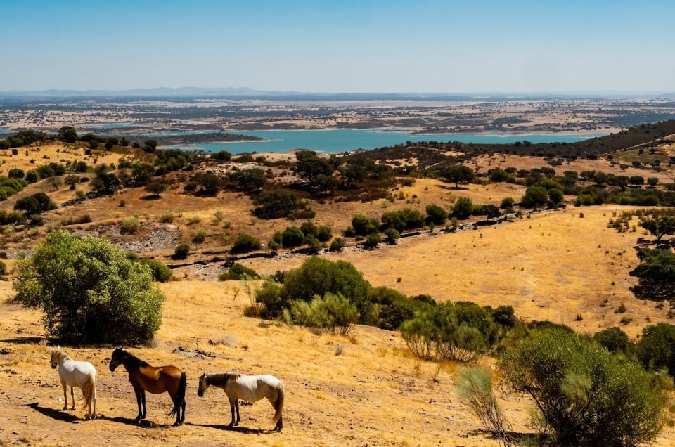 5 Portuguese Hilltop Villages Worth an Extra Day on an American Itinerary