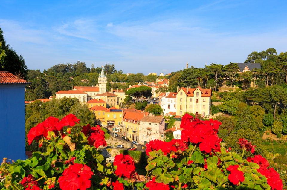 The Sintra Day That Belongs to the Forest and the Sea
