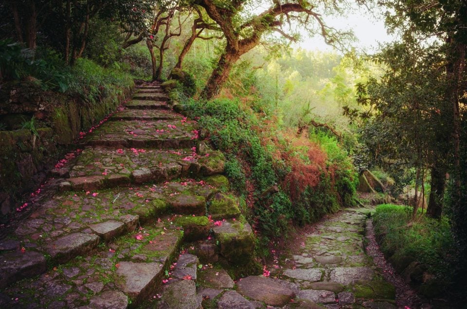 8 Reasons Sintra Wins Over Well-Traveled Americans