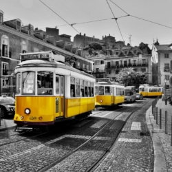 Private Tram Rental Lisbon