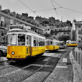 Private Tram Rental Lisbon