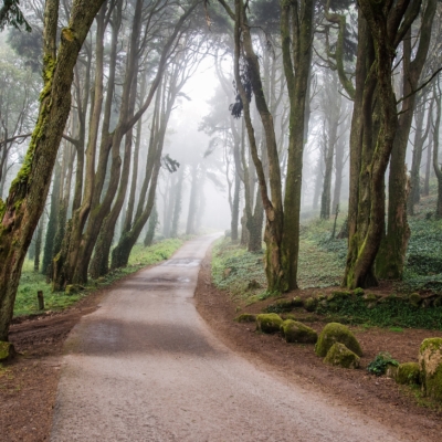 Bike_Tour_Cascais_Lisbon_Portugal