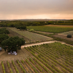 Wine_Tours_Evora_Lisbon_Magik_Tours_Portugal